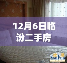 揭秘臨汾二手房市場，熱門房源探秘與小巷深處的隱藏寶藏