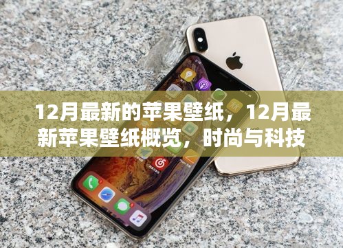 時尚與科技的完美融合,12月最新蘋果壁紙概覽