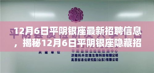 揭秘平陰銀座最新招聘信息,特色小店等你來探秘!