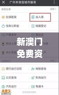 新澳門免費資料大全在線查看342期,實時更新解析說明_開發版1.563