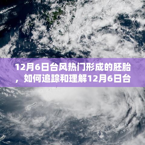 全面步驟指南,追蹤和理解12月6日臺風熱門形成的胚胎過程