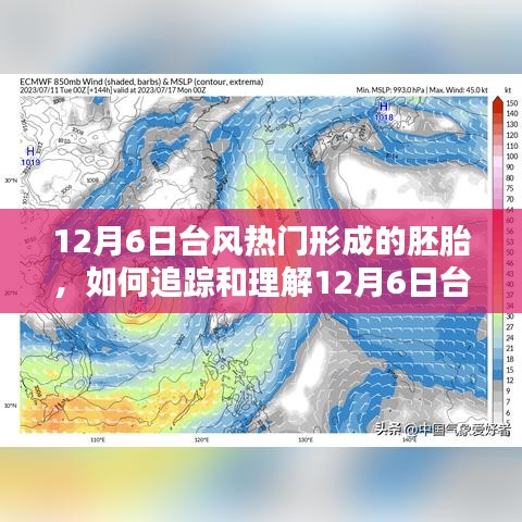 全面步驟指南,追蹤和理解12月6日臺風熱門形成的胚胎過程