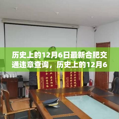歷史上的12月6日,合肥交通違章查詢的深度分析與觀點闡述