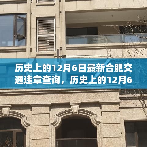 歷史上的12月6日,合肥交通違章查詢的深度分析與觀點(diǎn)闡述