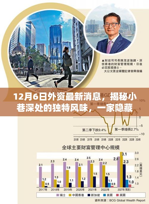 揭秘隱藏版外資特色小店,獨家探訪小巷深處的獨特風(fēng)味(最新消息)