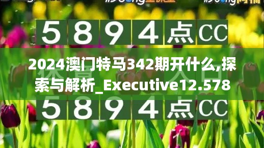2024澳門特馬342期開(kāi)什么,探索與解析_Executive12.578