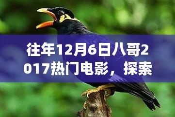 八哥帶你探索熱門電影與自然美景,找回內心的平靜與喜悅之旅