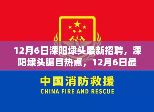 12月6日溧陽埭頭最新招聘信息揭秘，矚目熱點崗位一網打盡