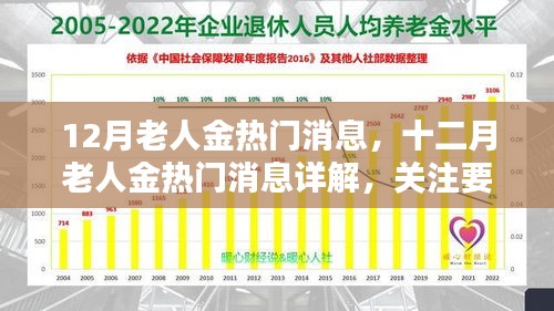 十二月老人金熱門(mén)消息詳解,關(guān)注要點(diǎn)、趨勢(shì)與科普全解析