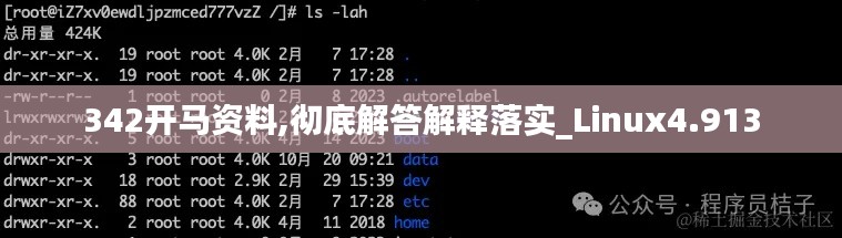 342開馬資料,徹底解答解釋落實(shí)_Linux4.913