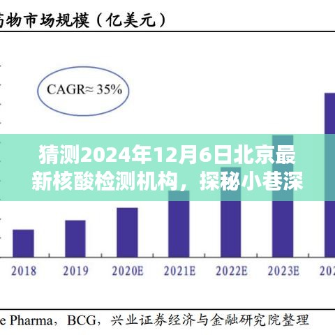 探秘北京隱藏版核酸檢測機構，2024年12月6日最新核酸檢測寶藏揭秘