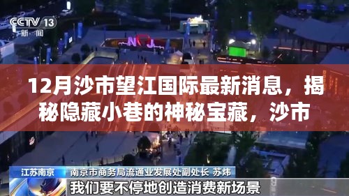 揭秘沙市望江國際隱藏小巷的神秘寶藏，最新發(fā)現(xiàn)特色小店消息速遞