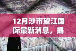 揭秘沙市望江國際隱藏小巷的神秘寶藏,最新發(fā)現(xiàn)特色小店消息速遞