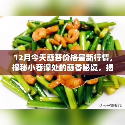蒜苔最新行情揭秘,小巷深處的風味小店探秘