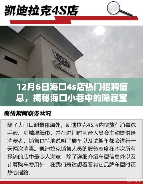 海口特色4S店招聘信息揭秘,小巷寶藏人才盛宴,職場體驗大不同