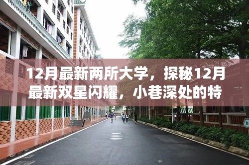 探秘最新雙星閃耀,揭秘十二月新大學(xué)與小巷特色小店中的隱藏時(shí)光