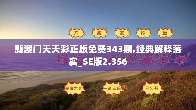 新澳門天天彩正版免費343期,經典解釋落實_SE版2.356