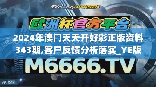 2024年澳門天天開好彩正版資料343期,客戶反饋分析落實_YE版9.370