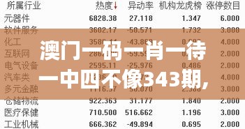 澳門一碼一肖一待一中四不像343期,衡量解答解釋落實(shí)_QHD版9.179