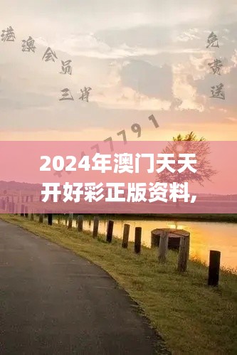 2024年澳門天天開好彩正版資料,全面解析與深度探討_Executive110.222
