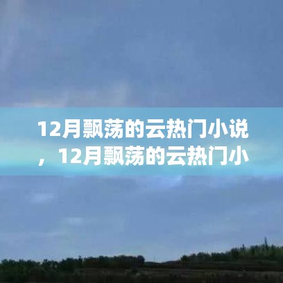 全面測評與介紹，12月飄蕩的云熱門小說