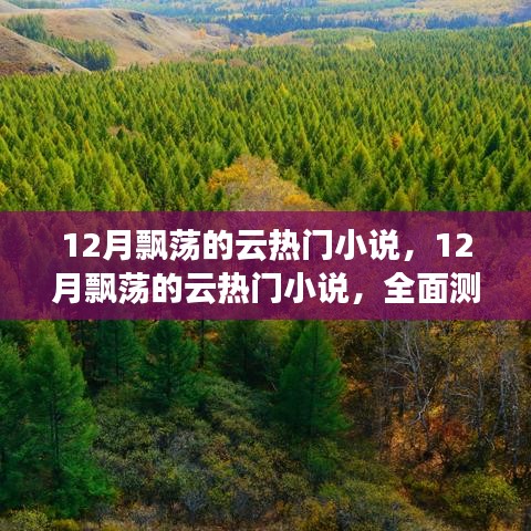 全面測評與介紹,12月飄蕩的云熱門小說