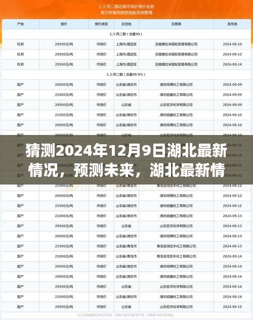 湖北未來(lái)展望,以2024年12月9日觀察節(jié)點(diǎn)預(yù)測(cè)湖北最新情況展望