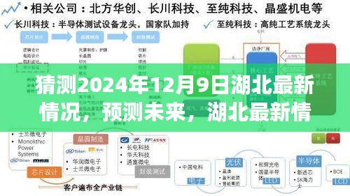 湖北未來展望,以2024年12月9日觀察節點預測湖北最新情況展望