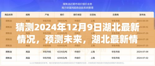 湖北未來展望,以2024年12月9日觀察節點預測湖北最新情況展望
