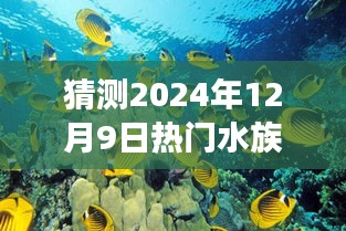 探秘夢幻水族館,預測2024年12月9日水族箱新風尚與熱門趨勢