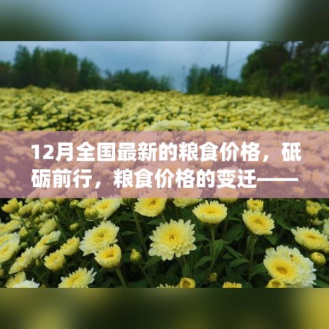 砥礪前行見證變遷,12月全國最新糧食價格及其背后的勵志故事。