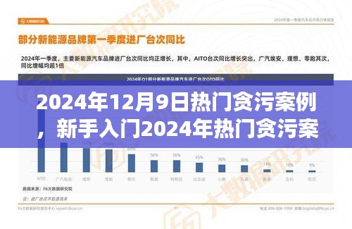 新手入門指南,深入了解貪污案例調查流程與技能學習——以2024年熱門貪污案例為例