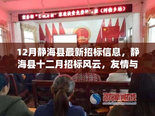 靜海縣十二月招標信息概覽,溫情交織的日常與友情家的溫暖