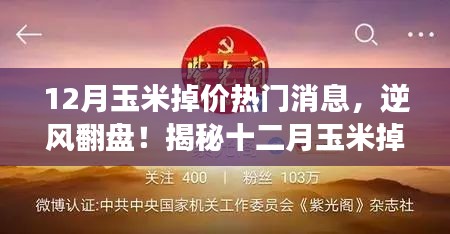 揭秘十二月玉米掉價背后的故事,逆風翻盤,成就無限可能!