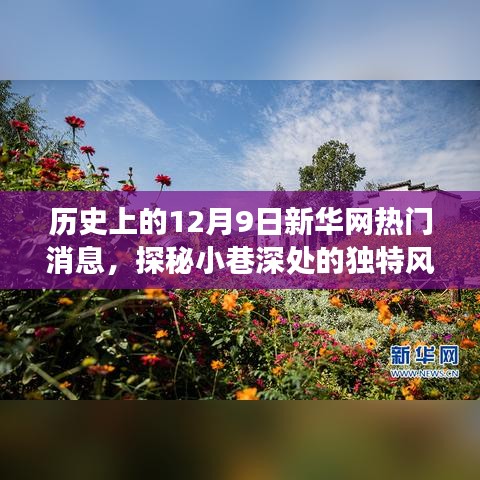 探秘小巷深處的獨特風味,歷史上的十二月九日新華網熱門消息深度解析