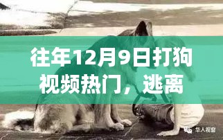 探索自然美景與狗同行,尋找內心的寧靜之旅