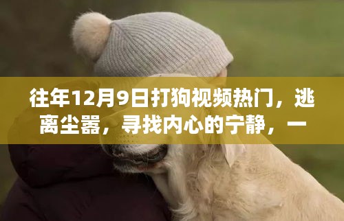 探索自然美景與狗同行,尋找內心的寧靜之旅