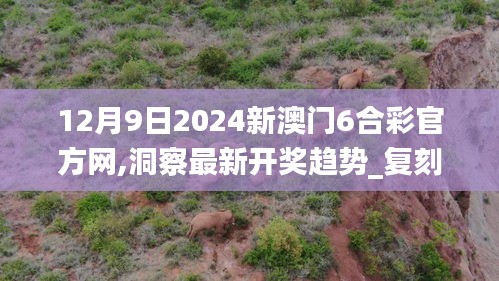 12月9日2024新澳門6合彩官方網,洞察最新開獎趨勢_復刻版7.503