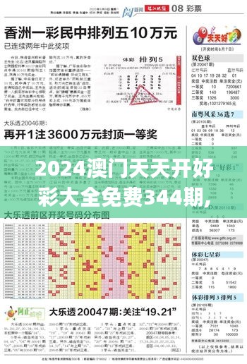 2024澳門天天開好彩大全免費344期,經典解釋落實_WP110.200