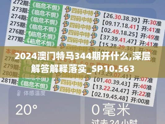 2024澳門特馬344期開什么,深層解答解釋落實_SP10.563