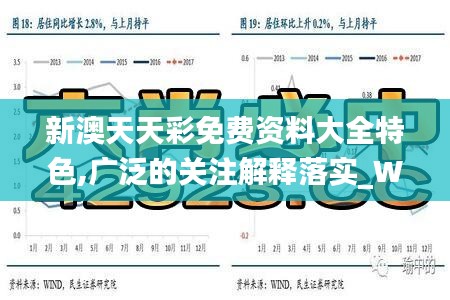 新澳天天彩免費資料大全特色,廣泛的關(guān)注解釋落實_WearOS8.175