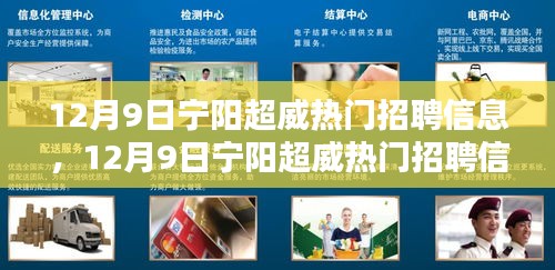 12月9日寧陽超威熱門招聘信息詳解與全面評測