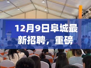 12月9日阜城最新招聘,重磅發布阜城最新高科技招聘產品——智能未來招聘助手,引領招聘新紀元,體驗科技改變生活的無限魅力