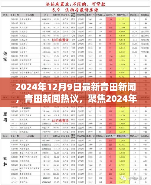 2024年12月9日青田新聞熱點解析與某某觀點深度剖析