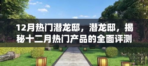 潛龍邸揭秘,十二月熱門產(chǎn)品全面評測與深度介紹