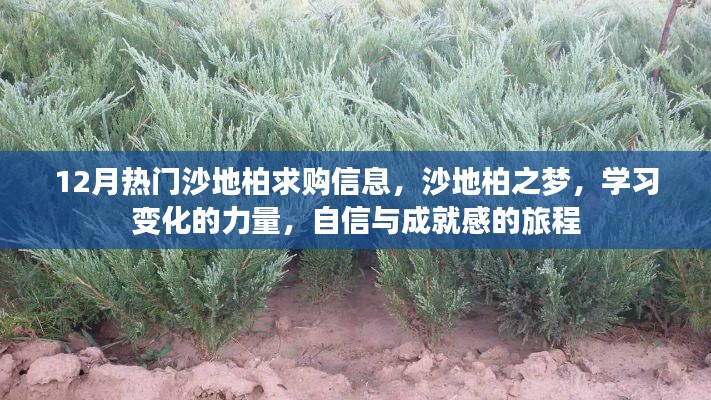 沙地柏之夢,探索學習變化的力量,自信成就感的旅程與最新求購信息