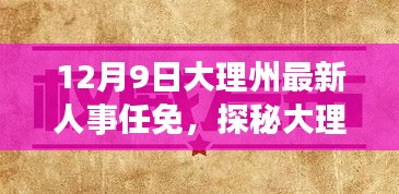 12月9日大理州最新人事任免,探秘大理州人事新動態下的巷弄秘境,一家隱藏的小店故事