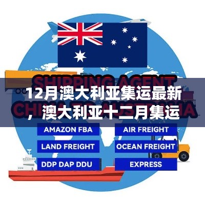 12月澳大利亞集運最新,澳大利亞十二月集運最新動態解析