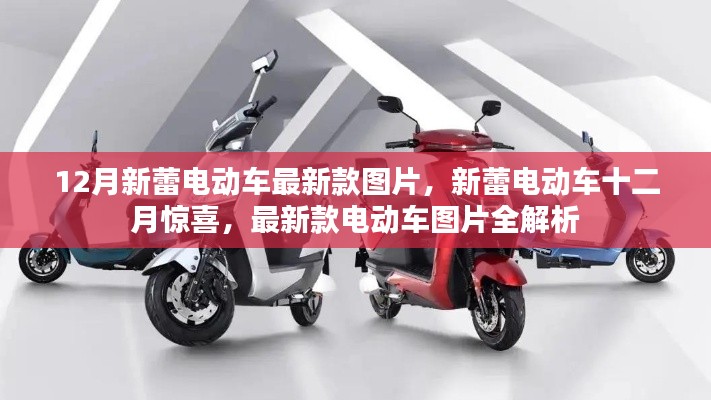 12月新蕾電動車最新款圖片全解析,新蕾十二月驚喜,領略最新款電動車風采