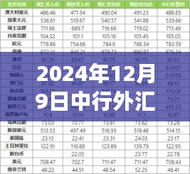 中行外匯最新牌價揭秘,學習變化,自信塑造未來(2024年12月9日)